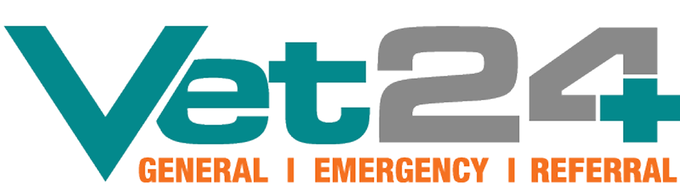 Footer Logo